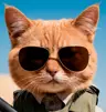 StableConfusionHub's Avatar
